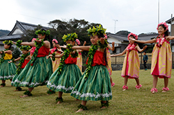 福岡マラソン2015の応援写真12