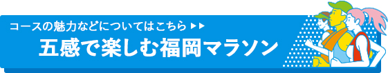 コースの魅力はこちら