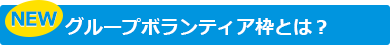 グループボランティア枠とは