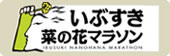 いぶすき菜の花マラソン