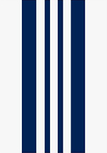 内子持縞（親子縞）